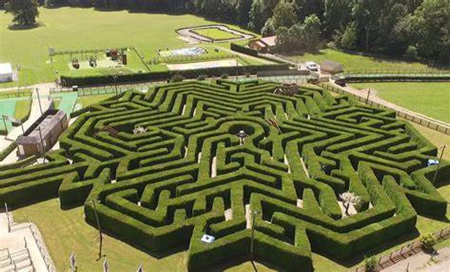Stockeld Park